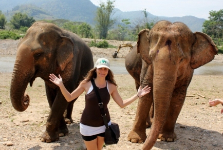 Annette elephant